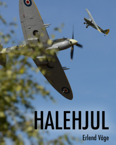 Halehjul Erlend Våge